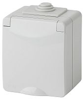 Розетка с заземлением накладная Эра Эксперт 1-м. IP65 серый картинка